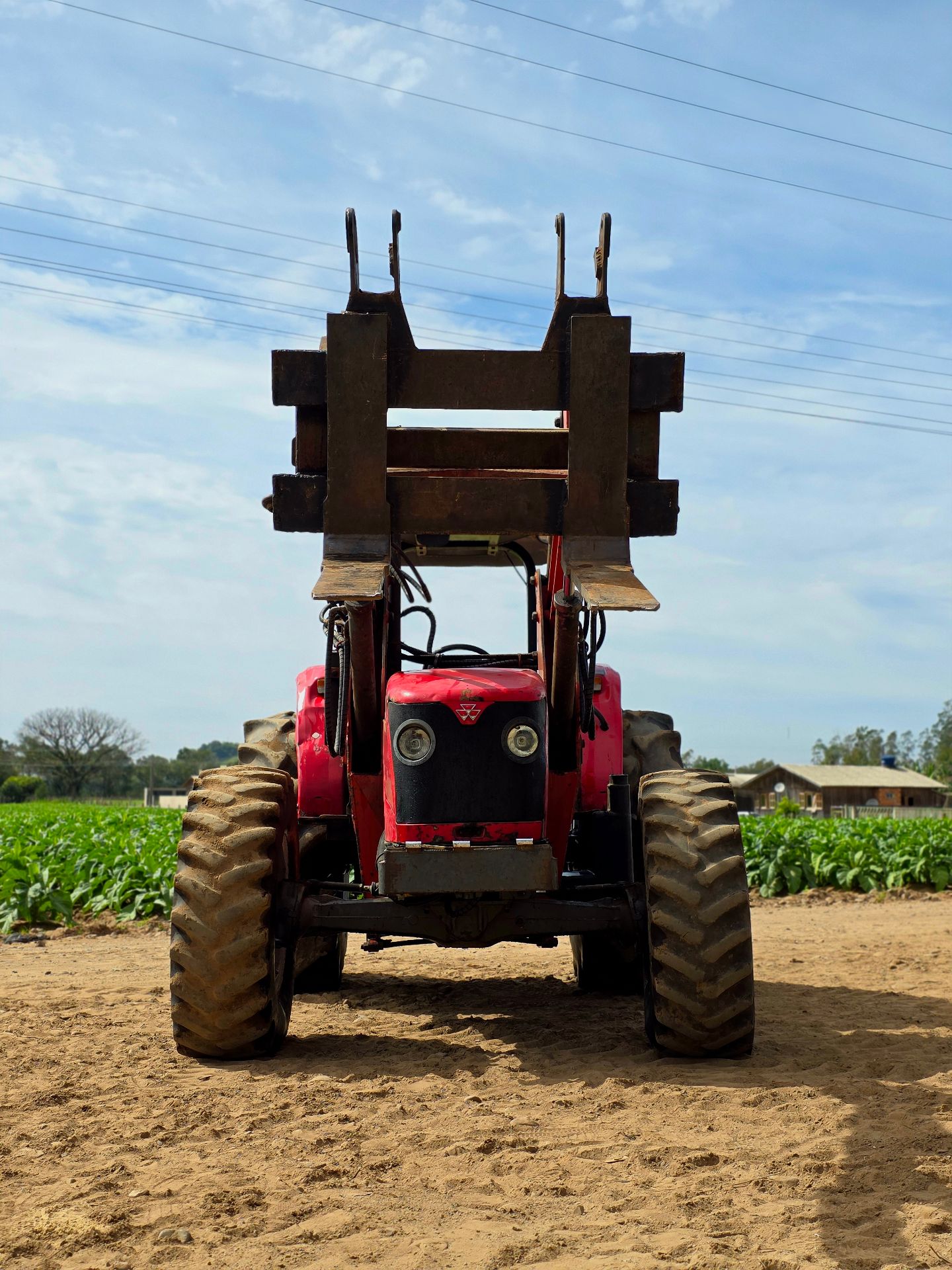 Massey Ferguson 4290 - 6