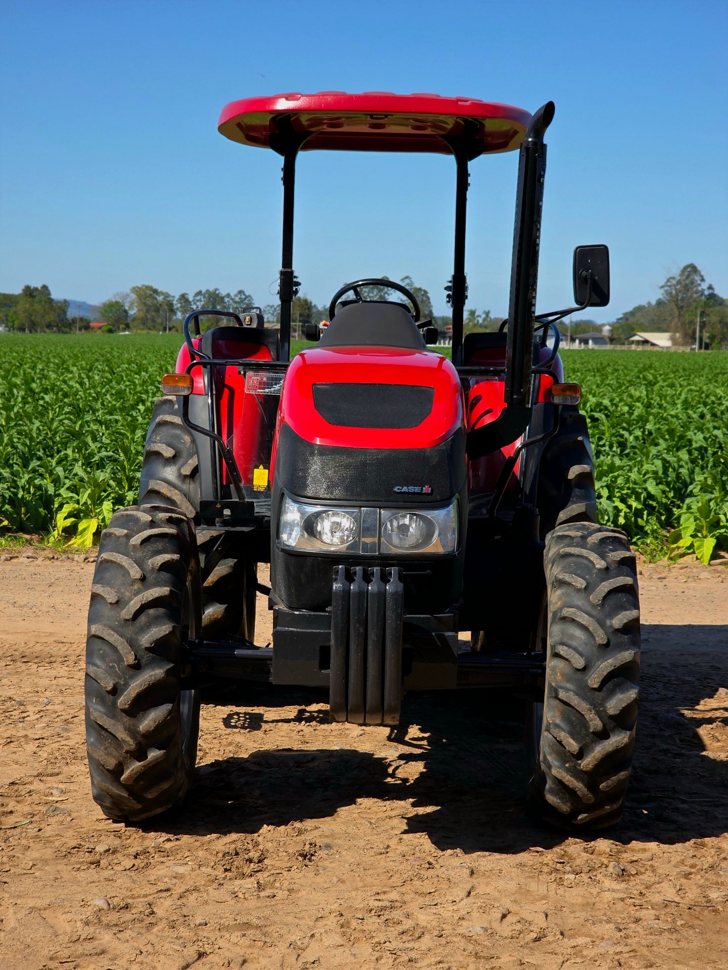 Case IH Farmall 80 - 2