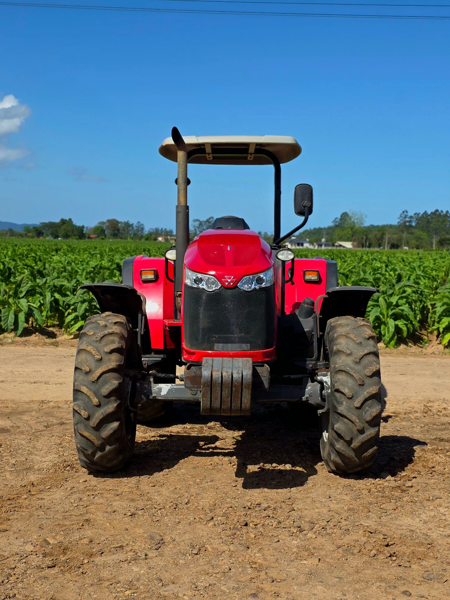 Massey Ferguson 4707 - 2