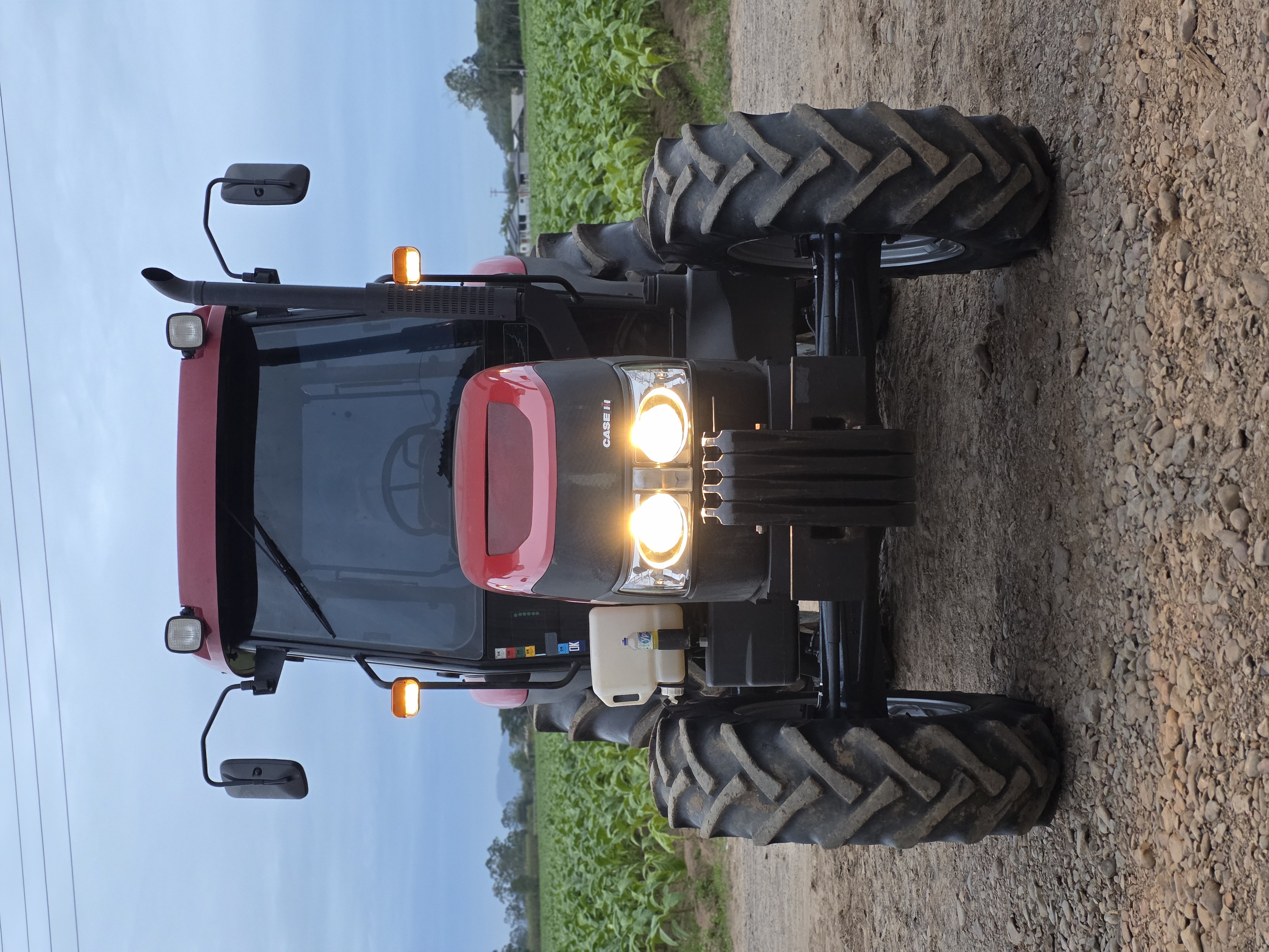 Case IH Farmall 80 - 2