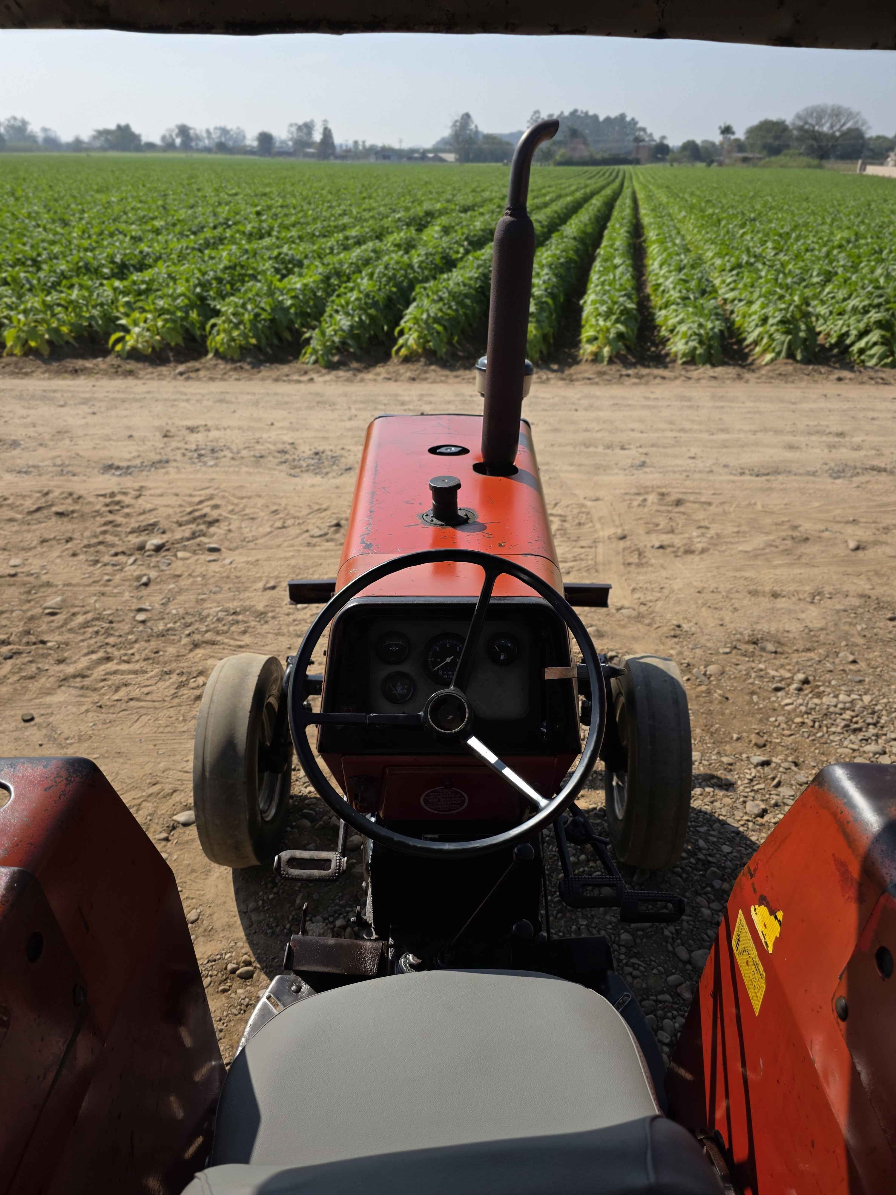 Massey Ferguson 275 - foto 6