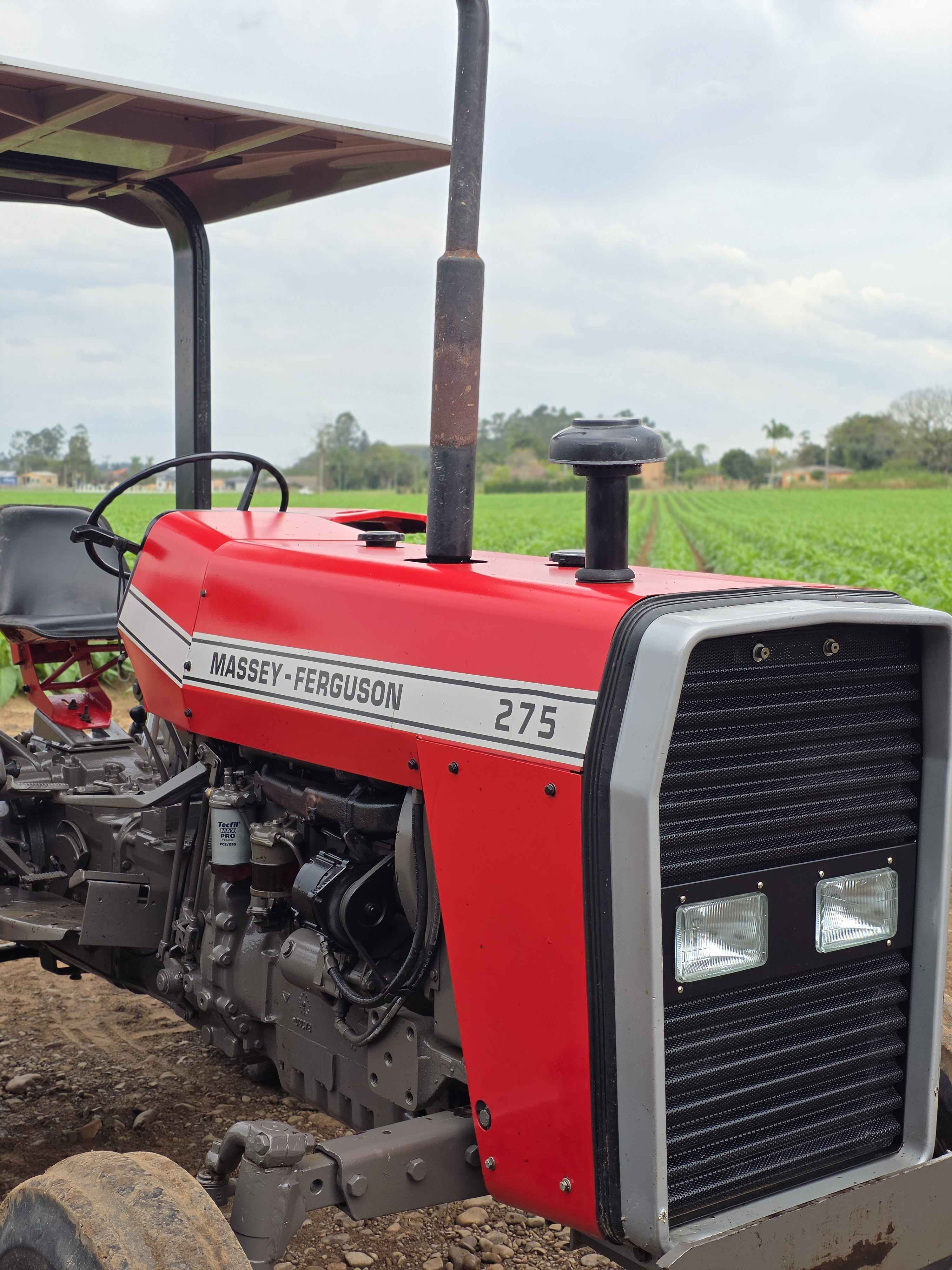 Massey Ferguson 275 - foto 8
