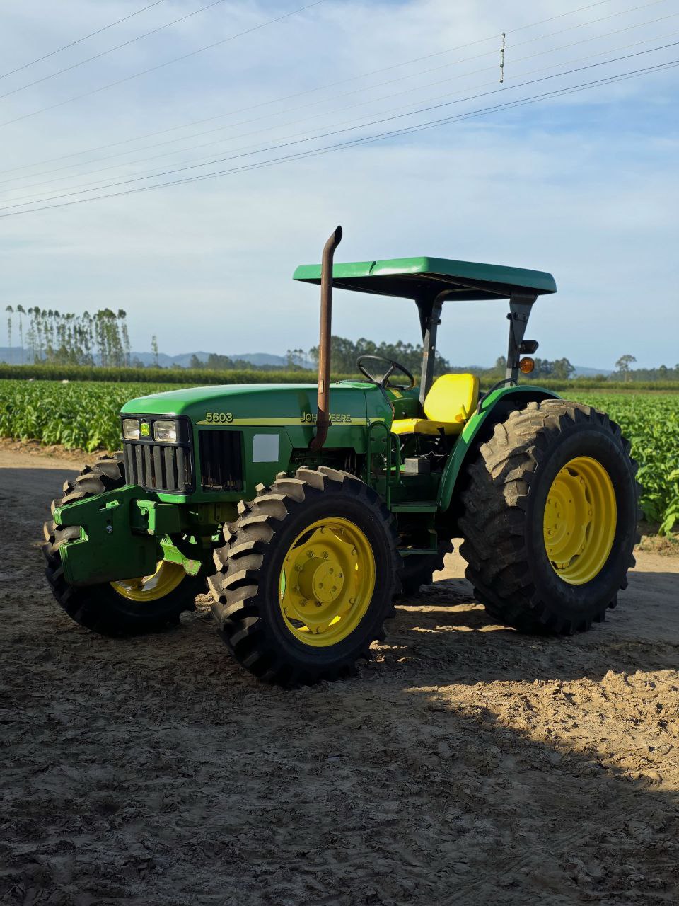 John Deere 5603 - 7
