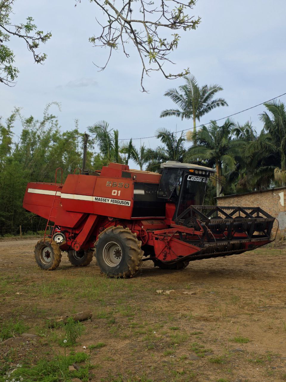 Massey Ferguson 5650 - 2