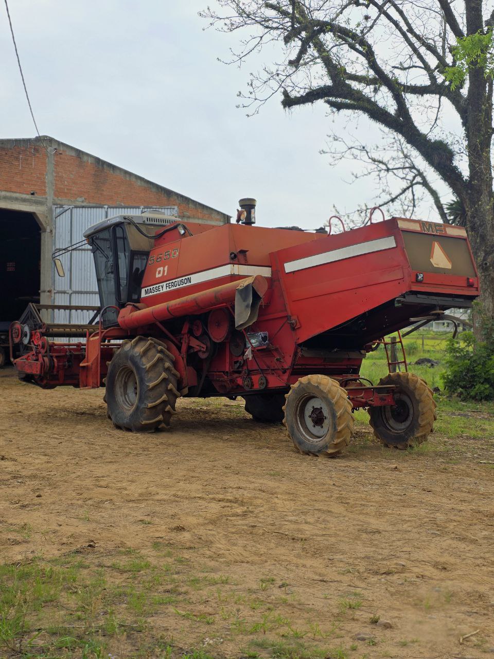 Massey Ferguson 5650 - 6