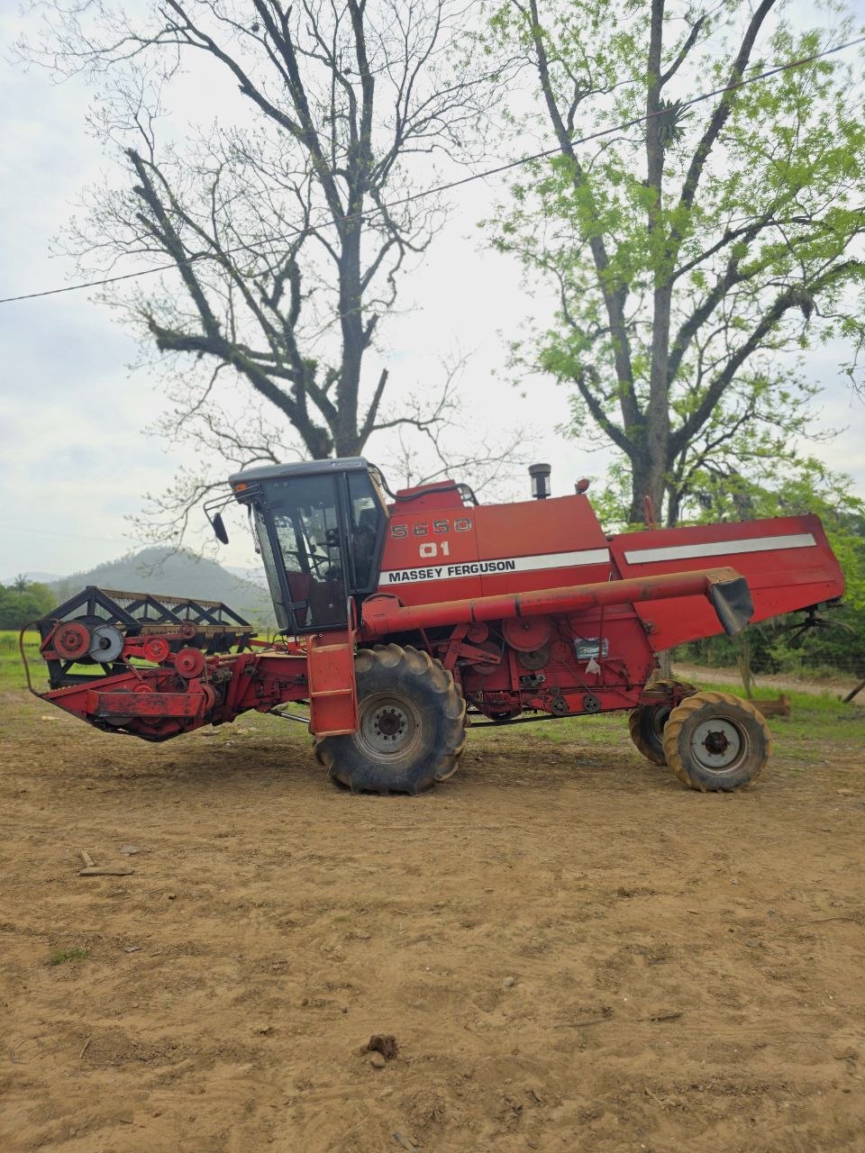 Massey Ferguson 5650 - 8