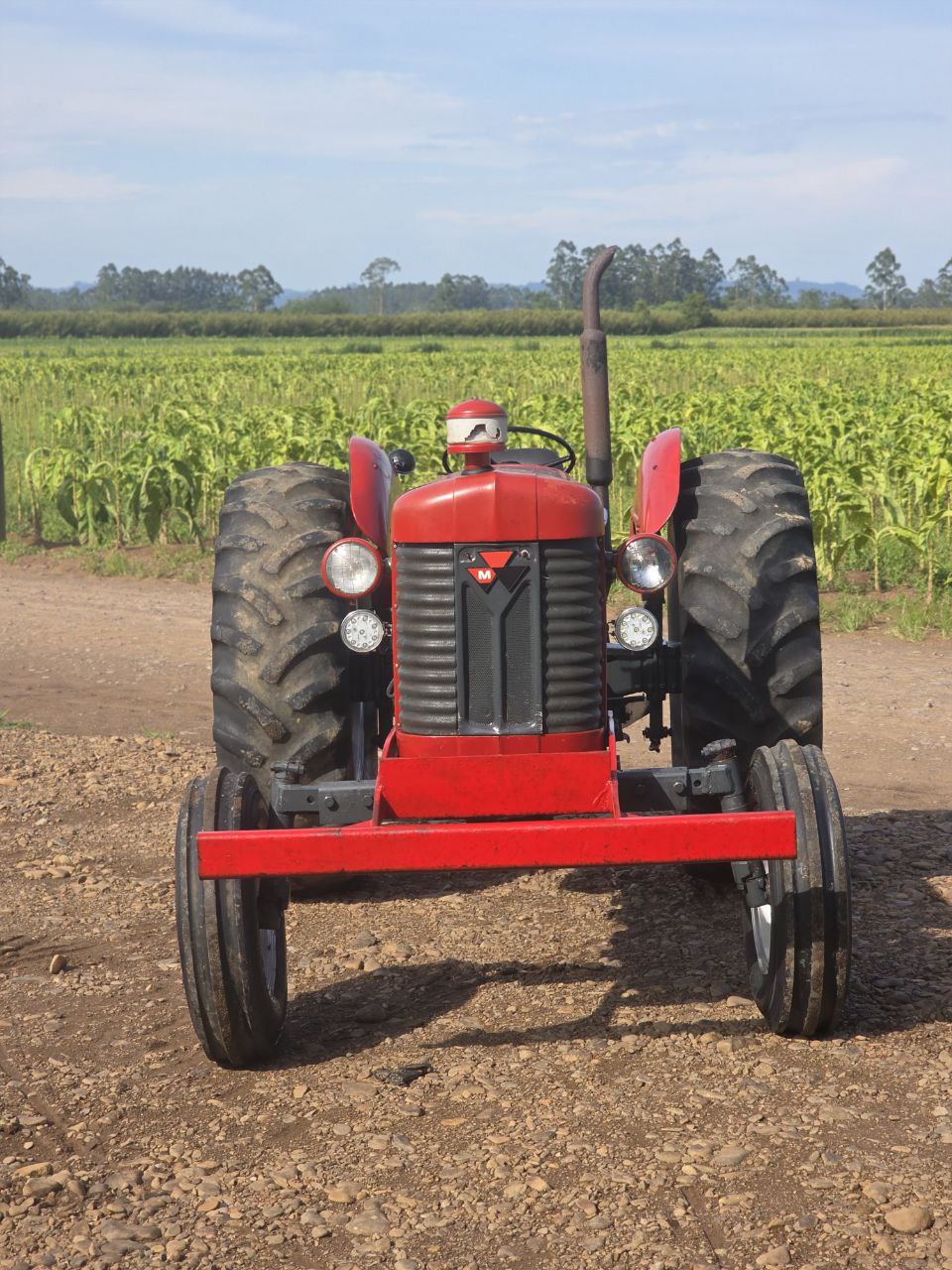 Massey Ferguson 65 X - 2