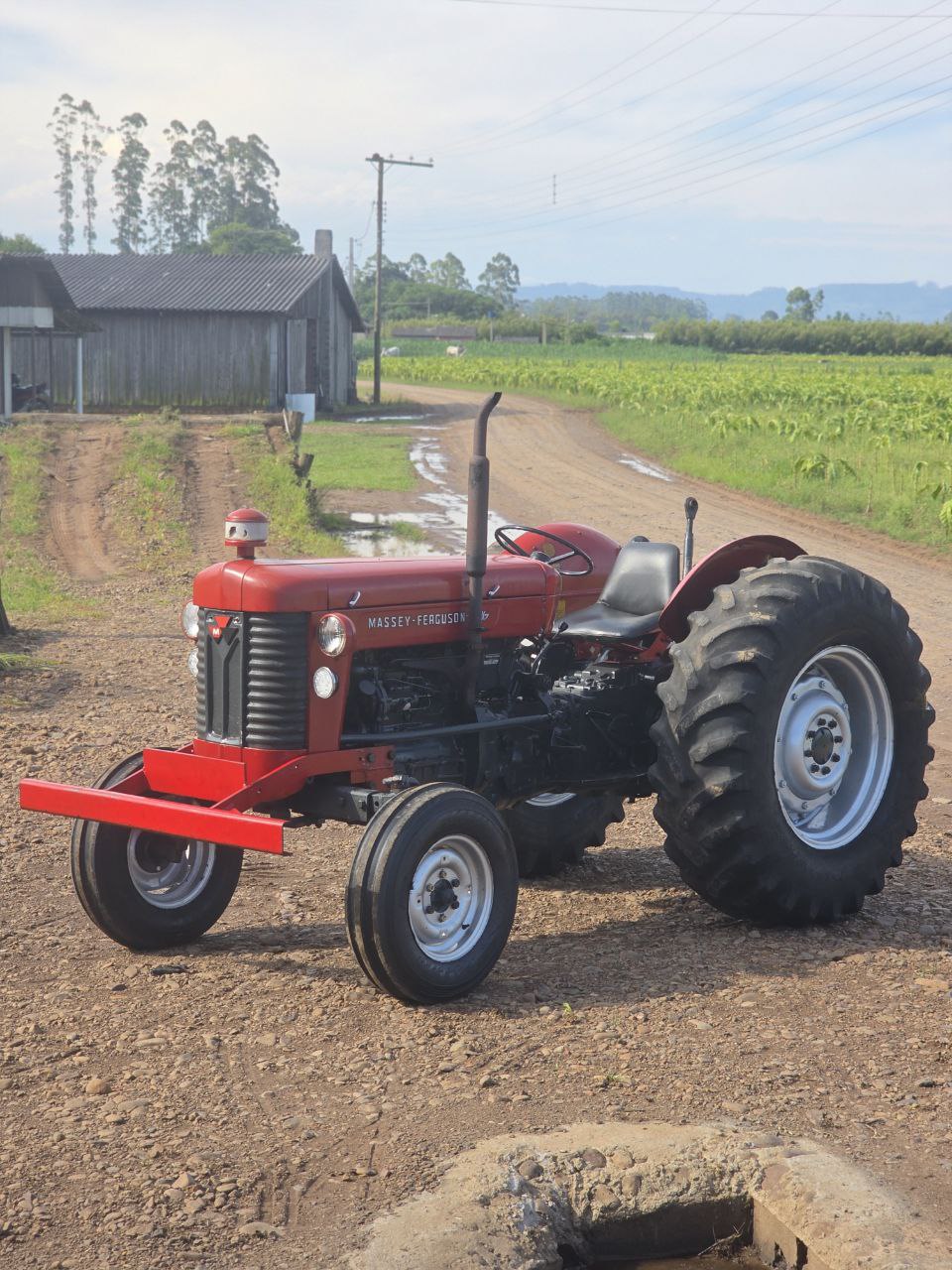 Massey Ferguson 65 X - 6